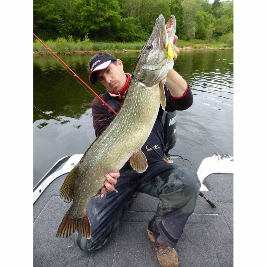 Hard Crankbait Duo Realis Crank M65 11A 6.5cm, 16g