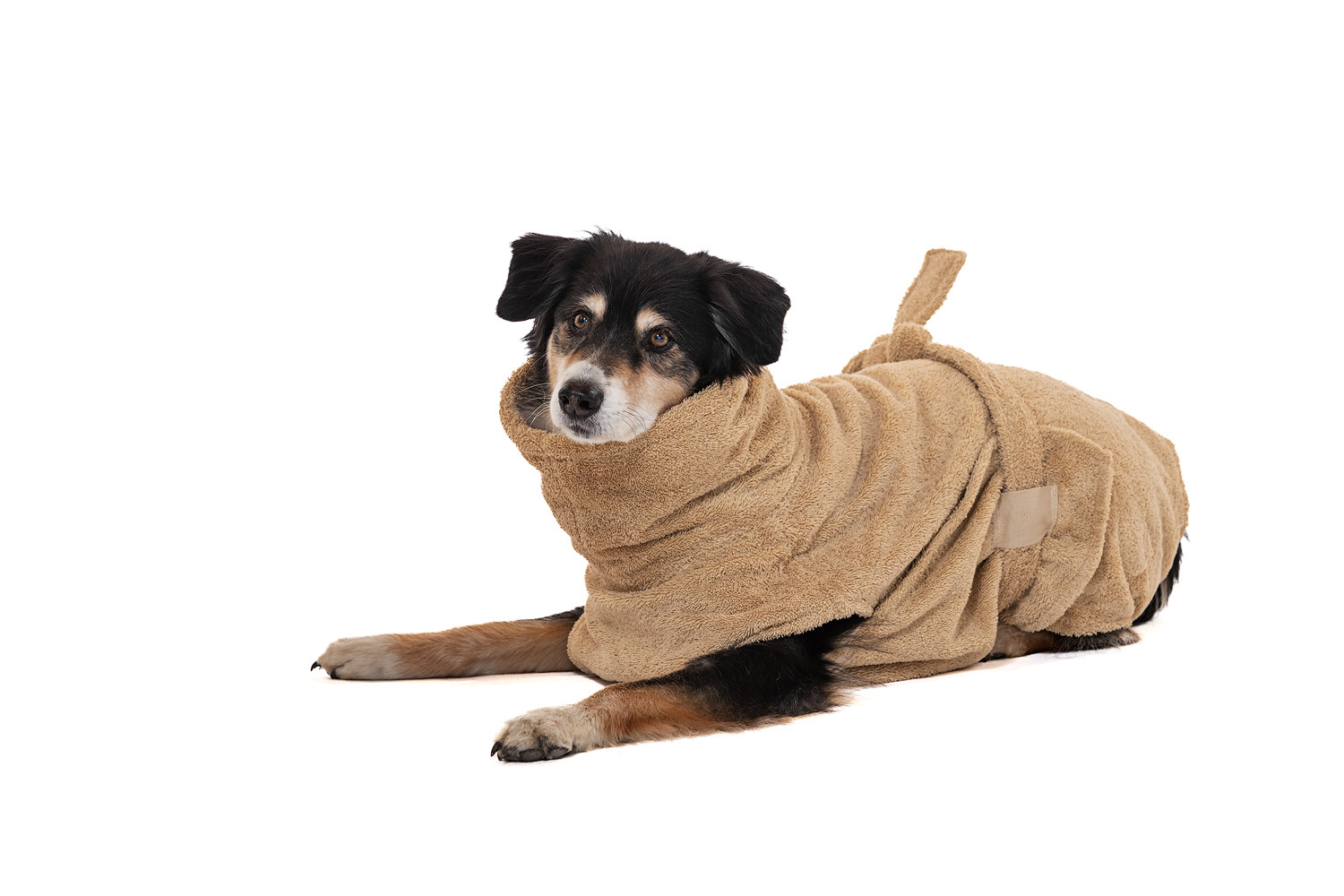 Lills Hundemäntel Lills Lill's Hundebademantel 