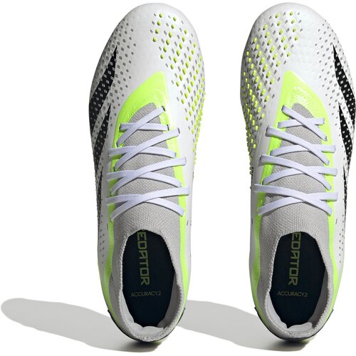 HERREN FUSSBALL-RASENSCHUHE PREDATOR ACCURACY.2 FG