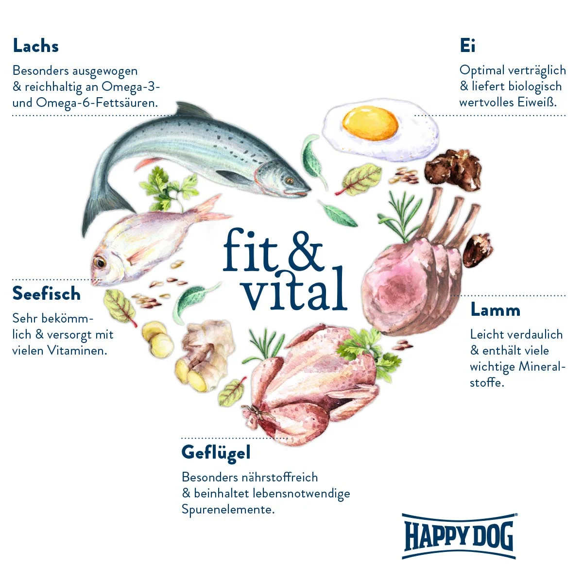 Happy Dog Supreme fit & vital Light günstig kaufen bei ZooRoyal