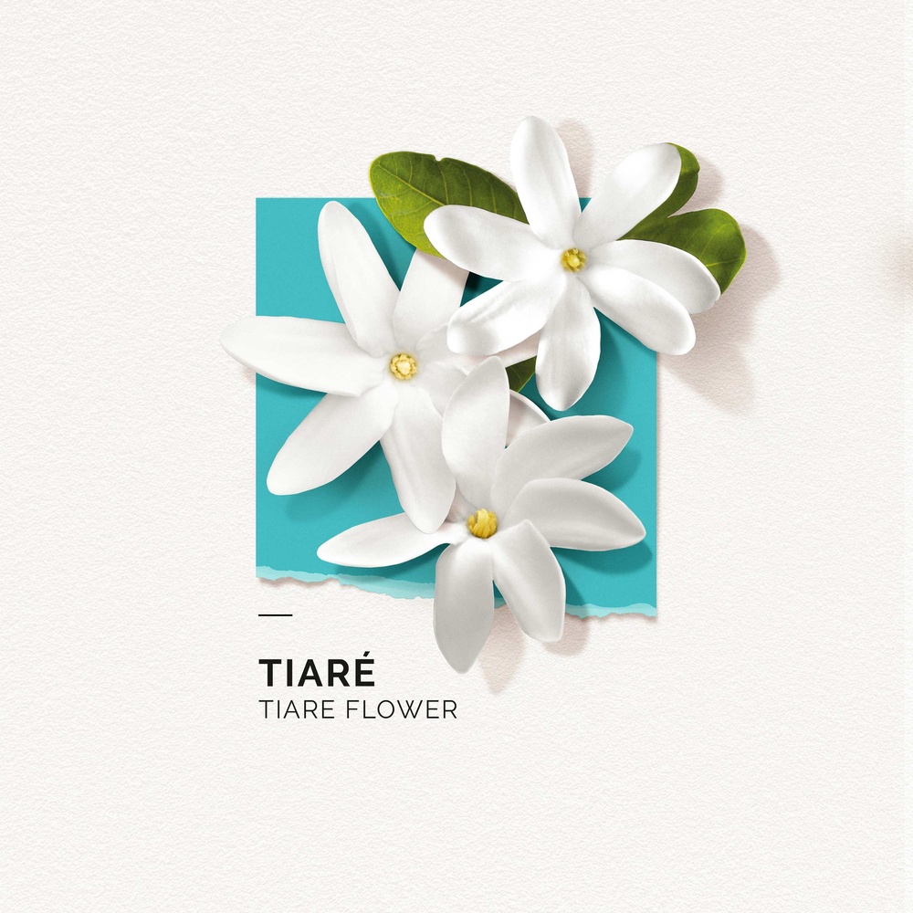 Solinotes Tiaré Eau de Parfum