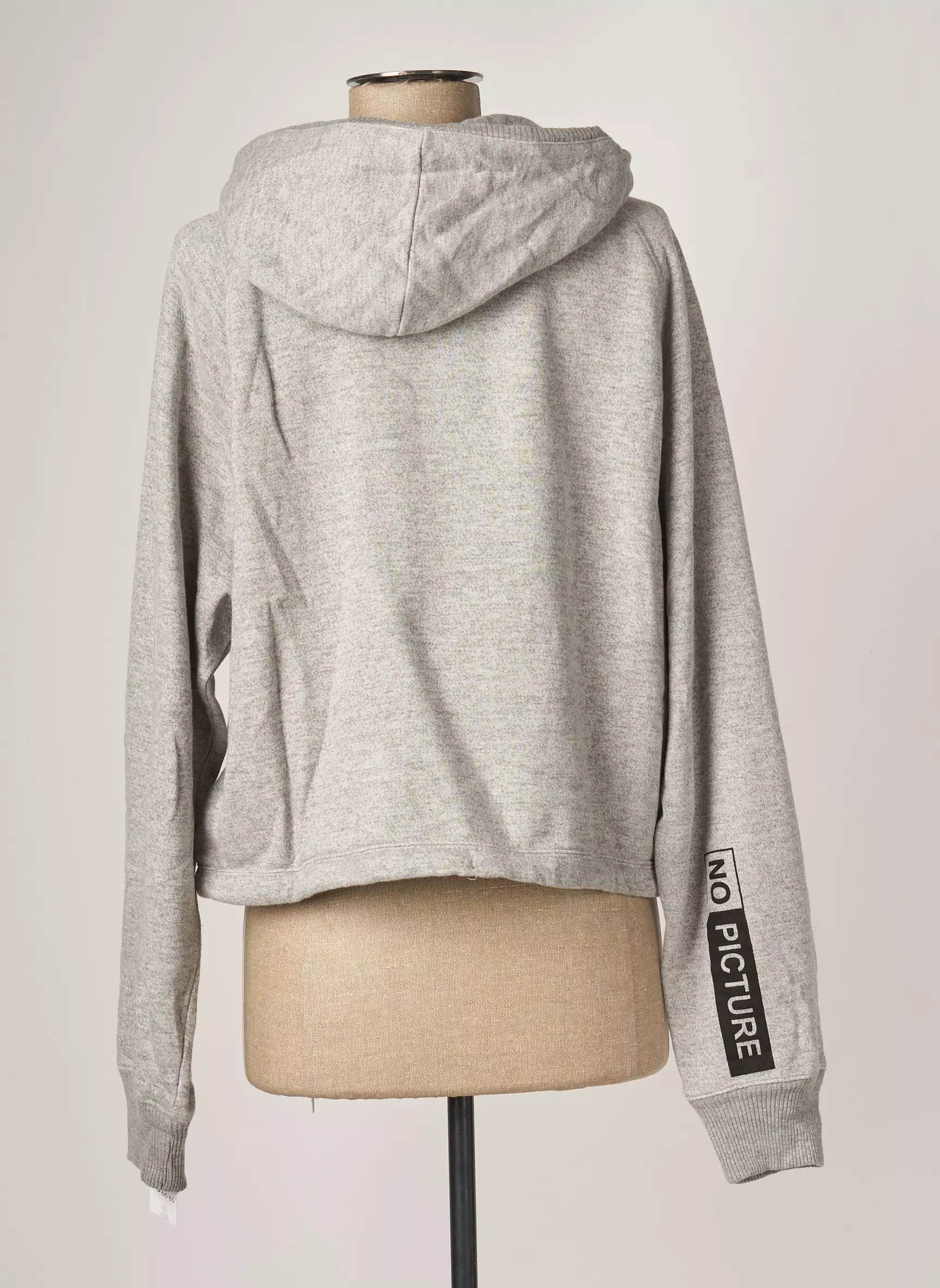 Heaven May Sweat Capuche Femme couleur gris