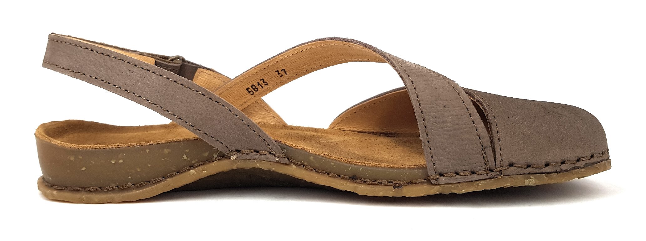 El Naturalista Pangloa N5813 Braun Plume