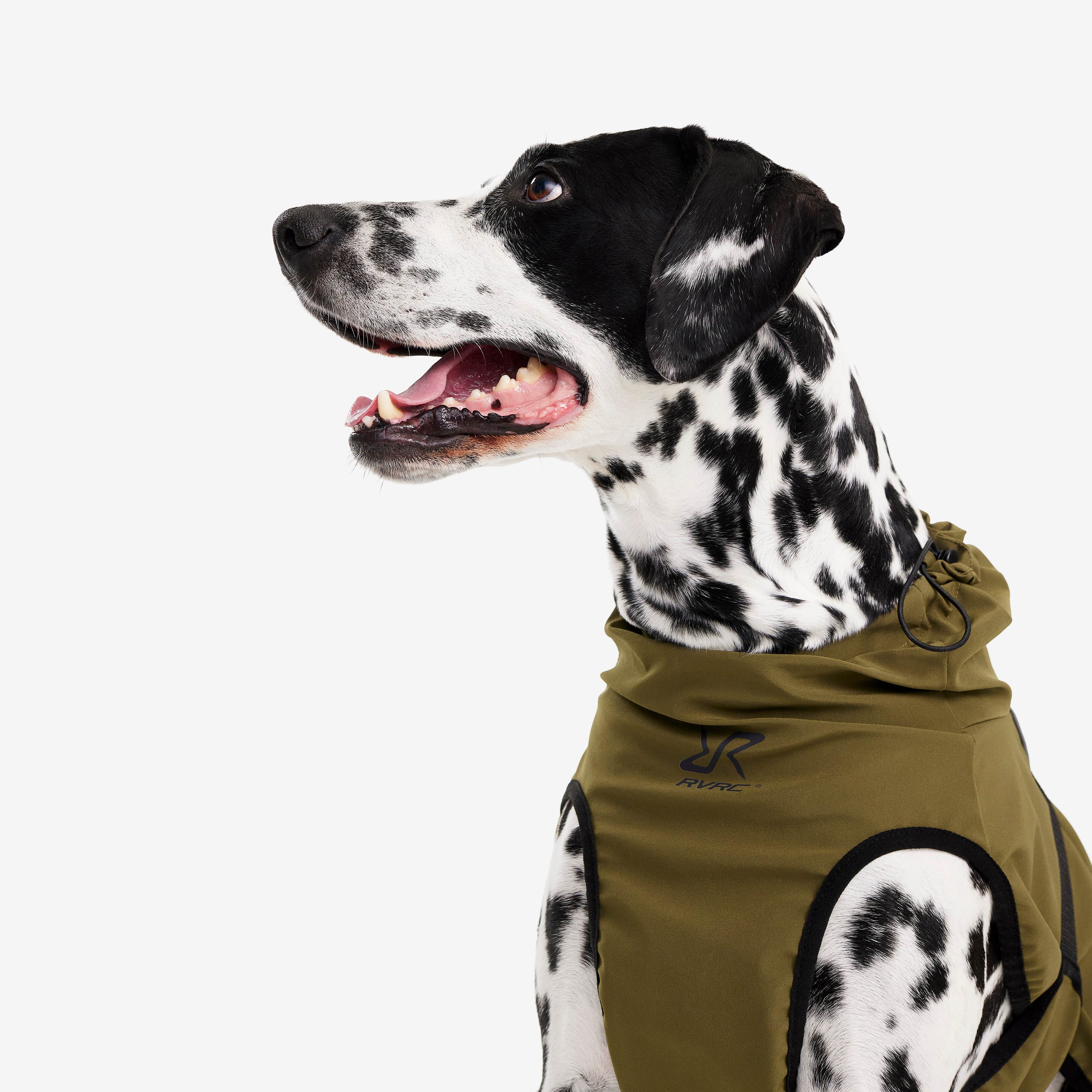 Cyclone Dog Jacket Chien Dark Olive