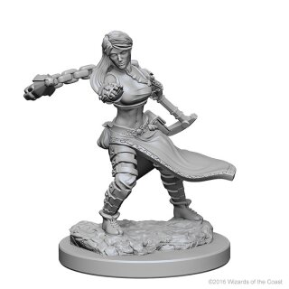 Human Female Monk: D&D Nolzurs Marvelous Unpainted Minis