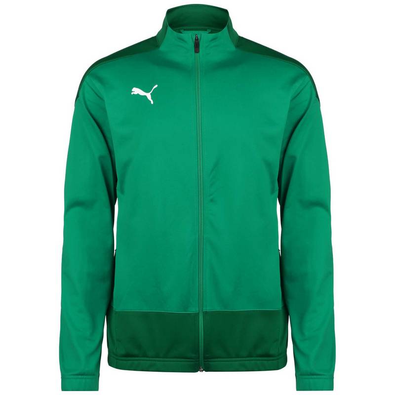 PUMA TeamGOAL 23 Trainingsjacke Herren