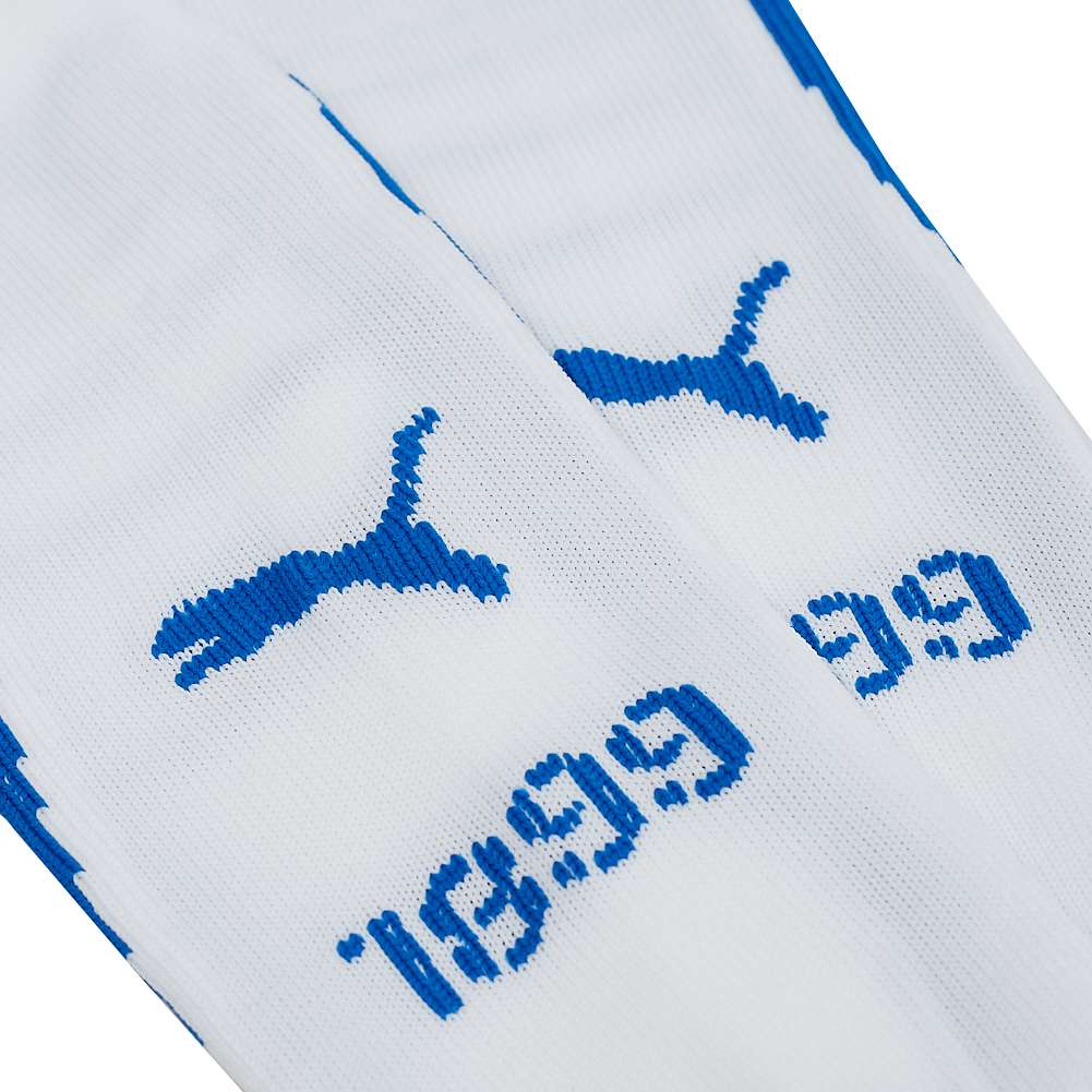 TSG 1899 Hoffenheim PUMA Stutzen 737188-02