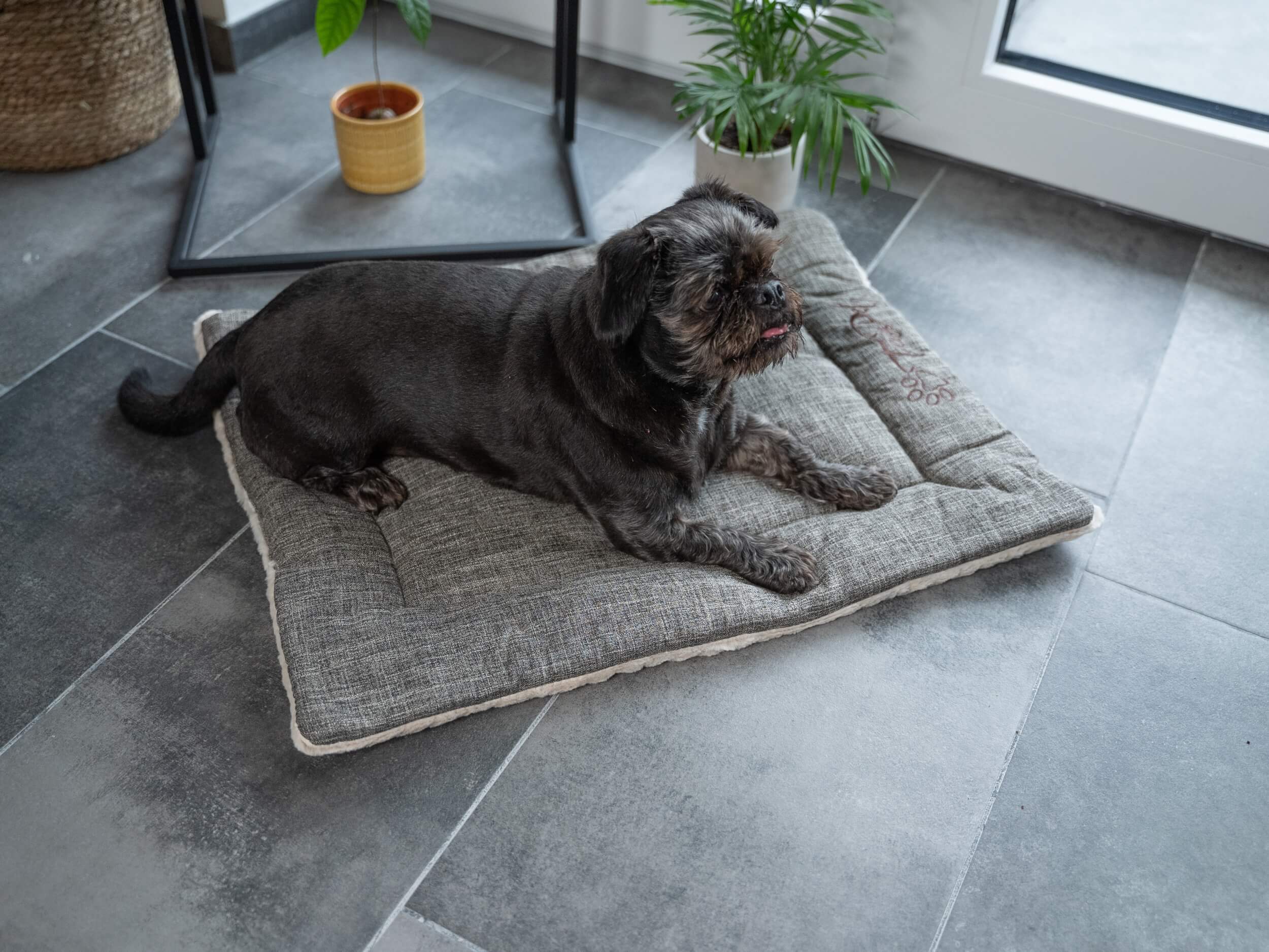 TrendPet Hundedecken TrendPet Heaven gefütterte Liegedecke beige L
