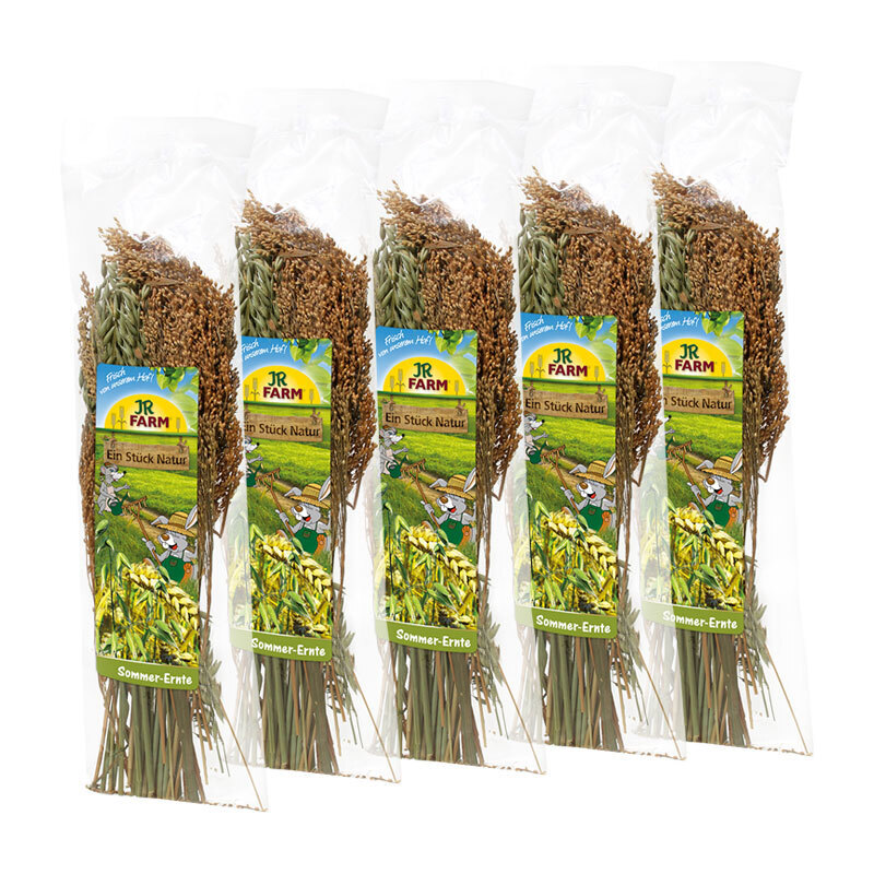 JR Farm Snacks JR Farm Sommer-Ernte 5x80g