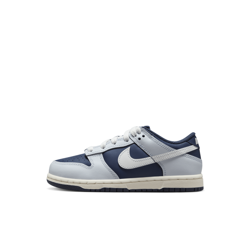 Nike Dunk Low FB9108-002 / grau