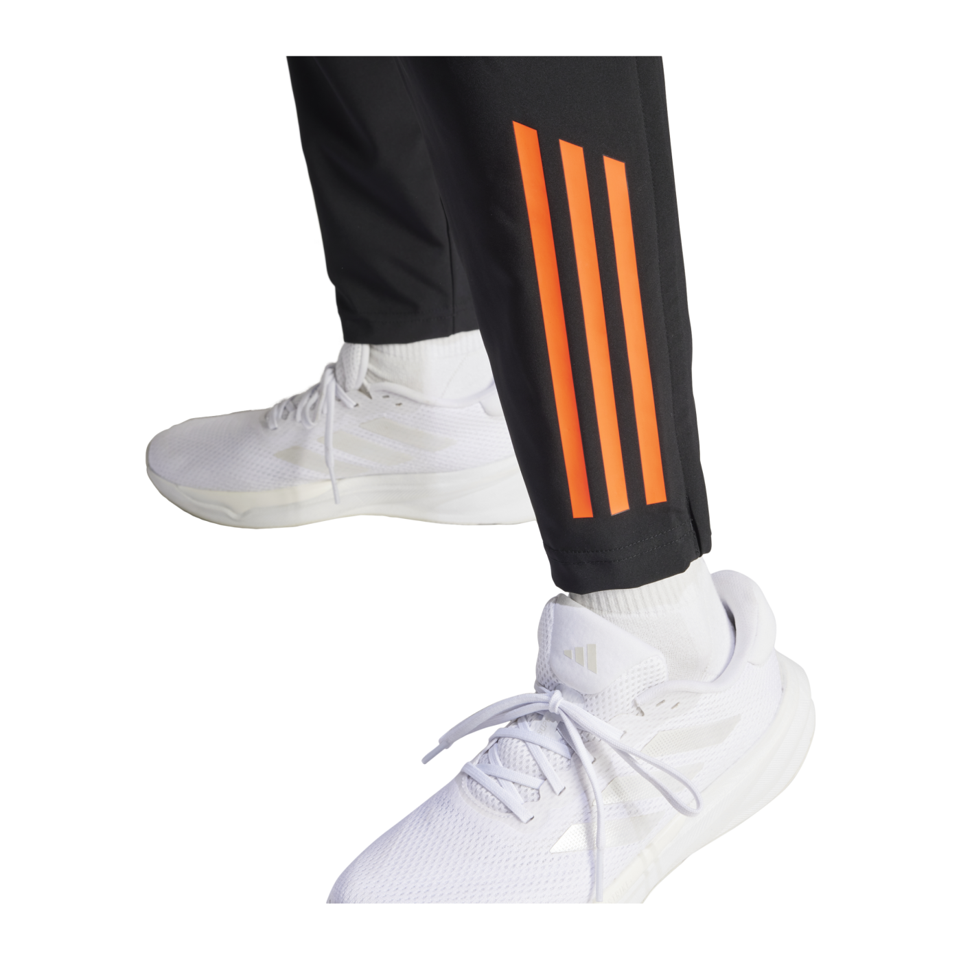 adidas Tiro 24 Competition Präsentationshose