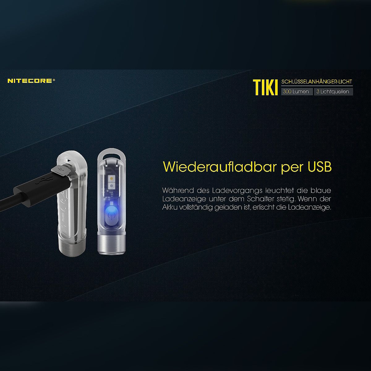 LED Lampe TIKI