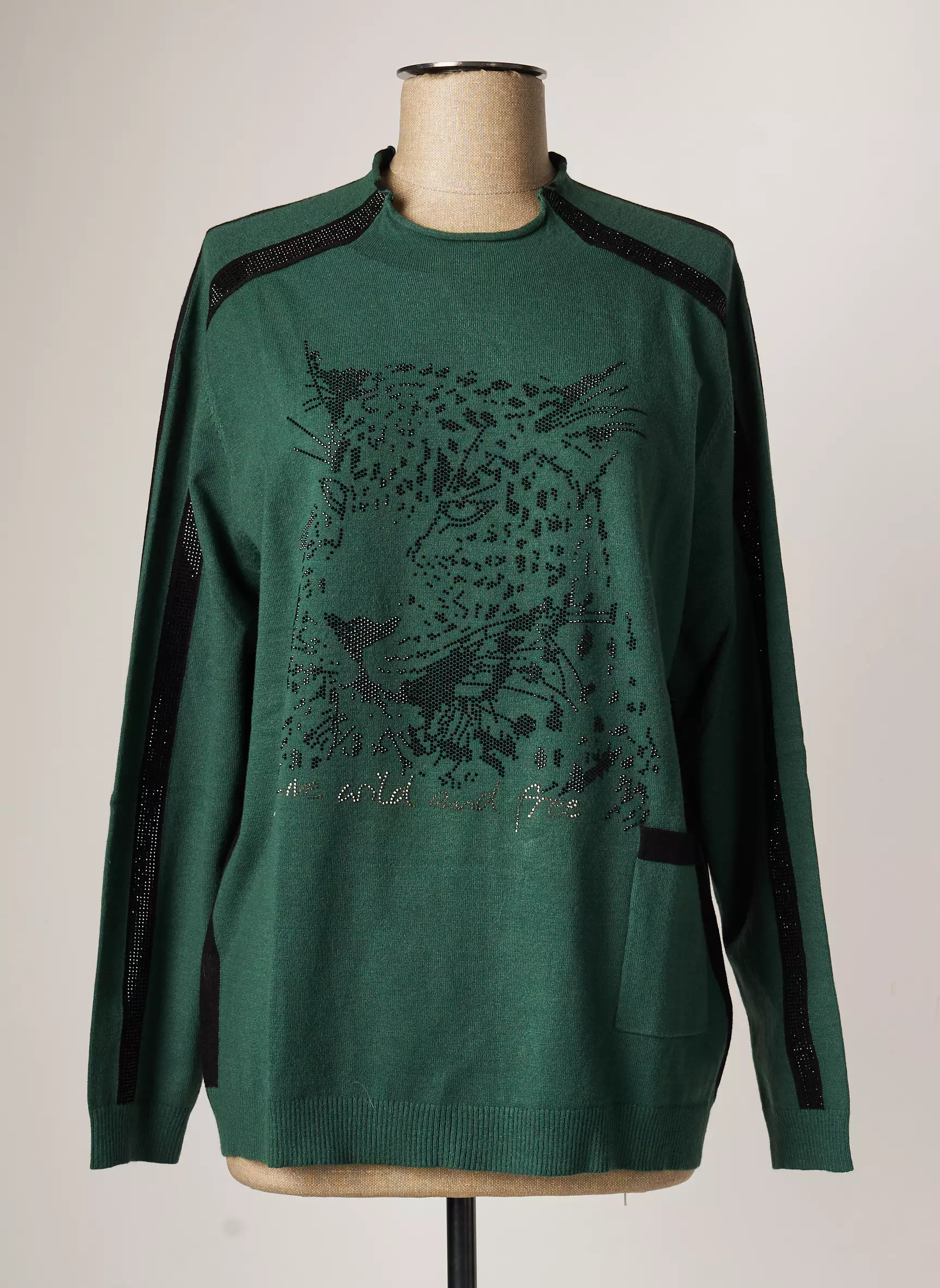 Passioni Pulls Femme couleur vert