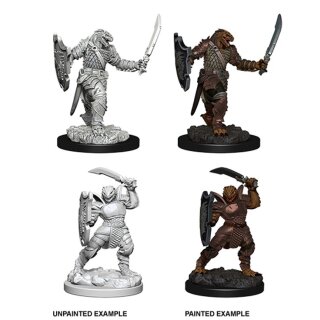Dragonborn Female Paladin: Nolzurs Marvelous Unpainted Minis