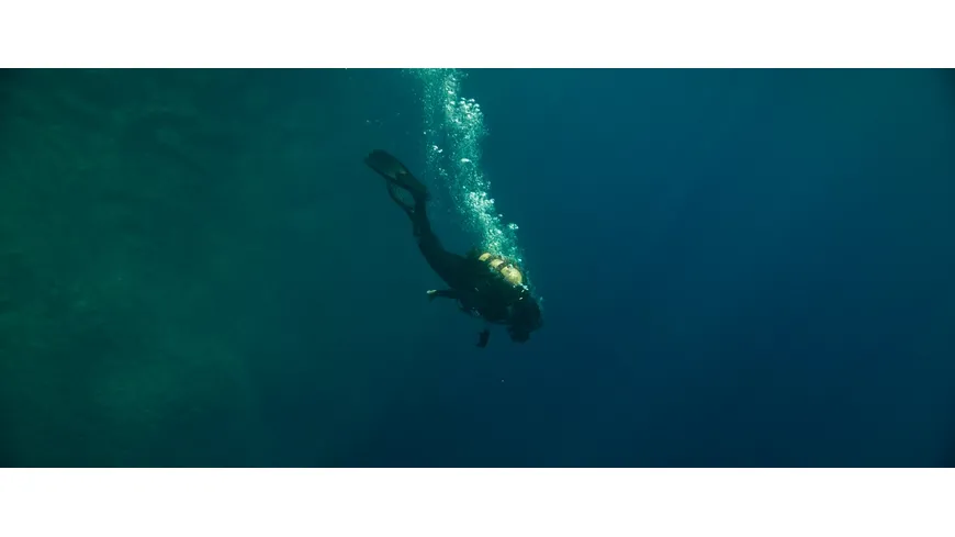 The Dive