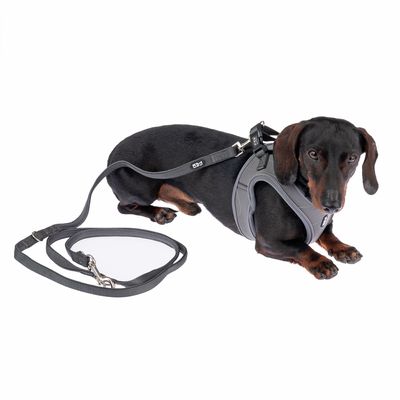 TIAKI Geschirr Wave Vest, anthrazit