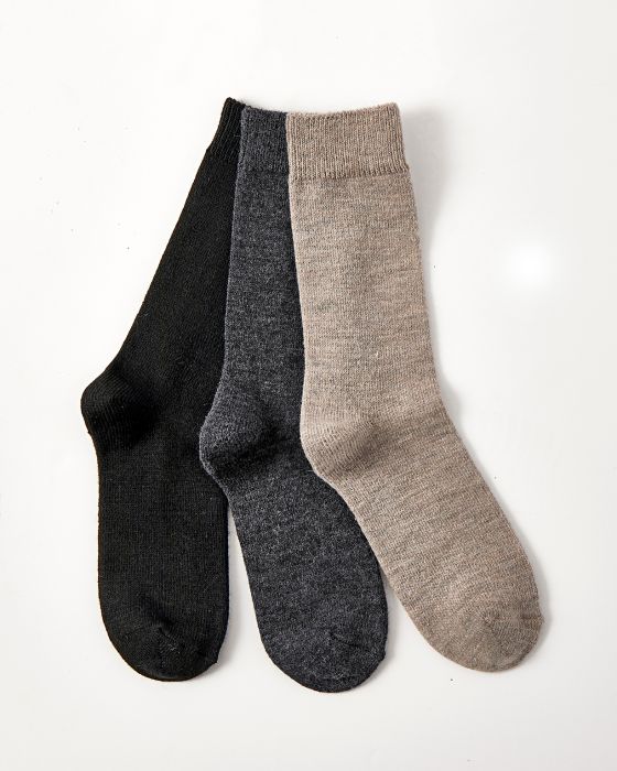 Lot de 3 paires de chaussettes unies Thermolactyl