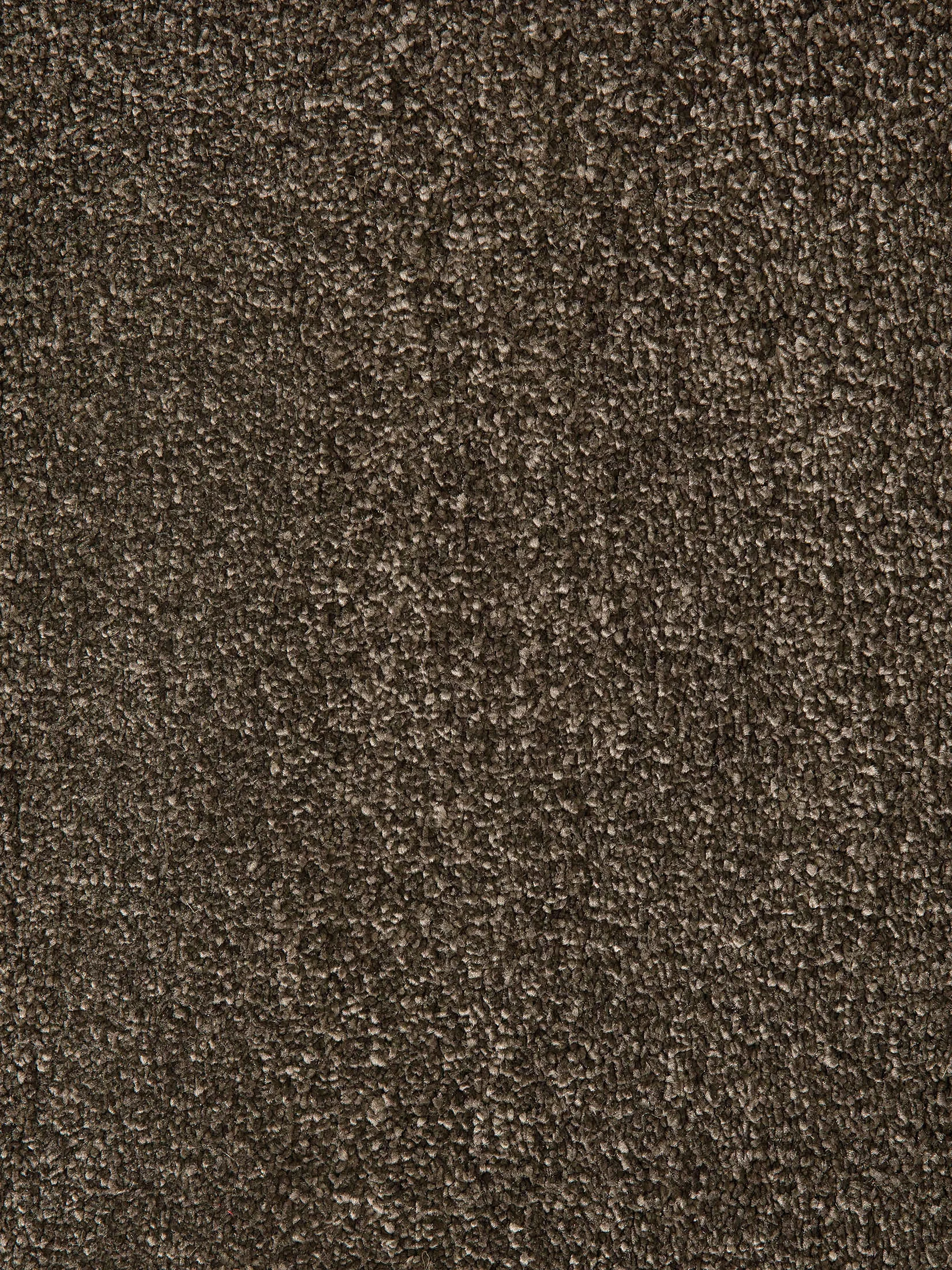 Sovereign Hochflor-Teppich, Mocca