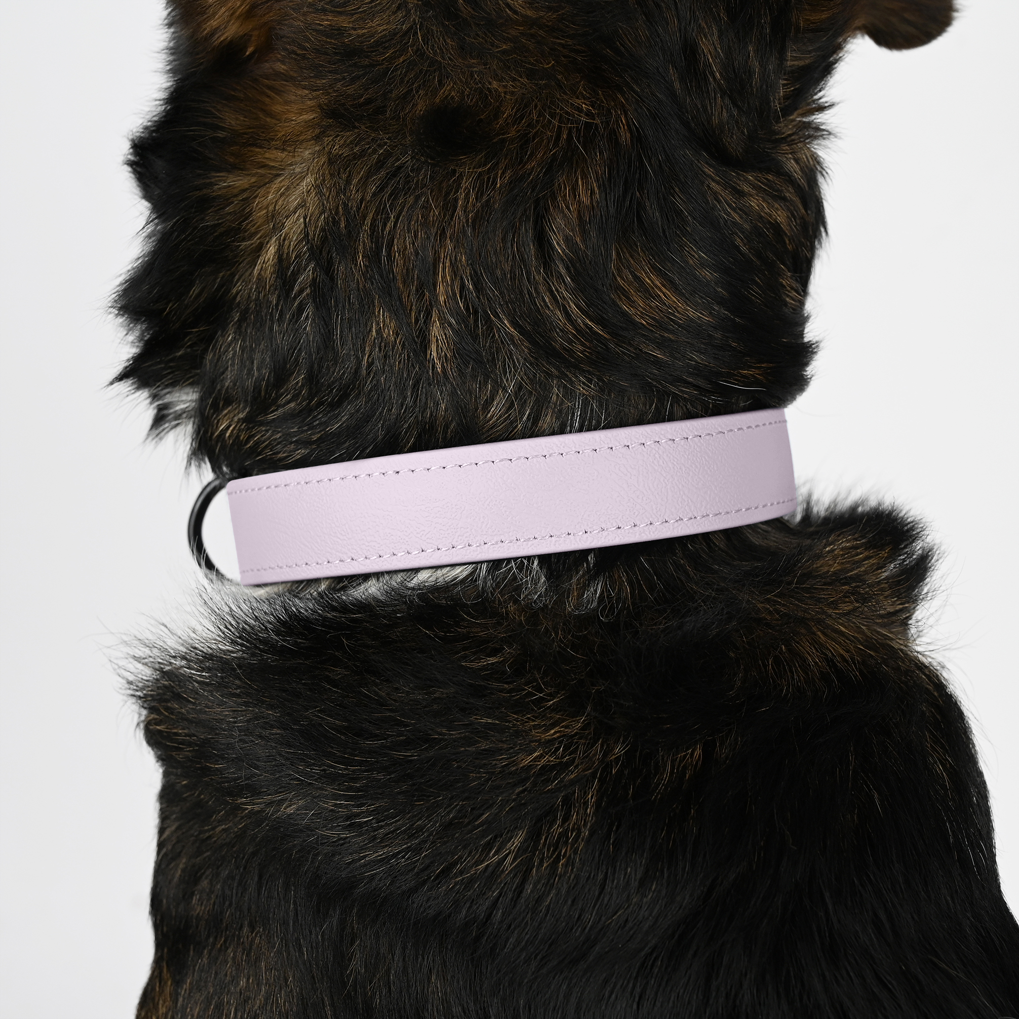 THE DOG IDEA Hundehalsbänder THE DOG IDEA Zugstopp Halsband Lavendel XL