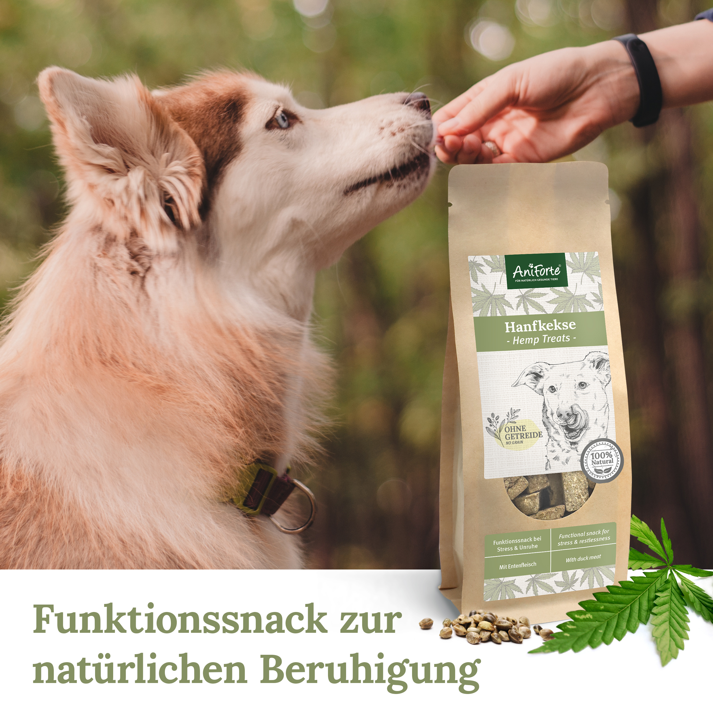 Aniforte Ergänzungsfutter & Aufzucht Aniforte Hanfkekse 200g