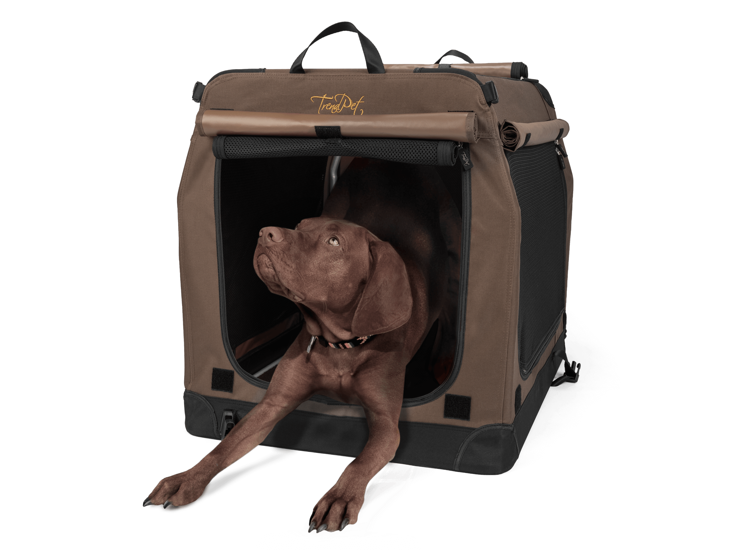 TrendPet Transportboxen & Gitterboxen TrendPet Faltbare Hundebox TPX-Pro L