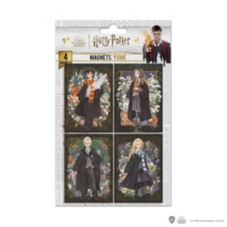 Set of 4 Magnets - Portraits characters - Harry Potter