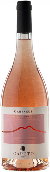 2021 Campanus Terre del Volturno Rosato IGP trocken - Caputo 1890