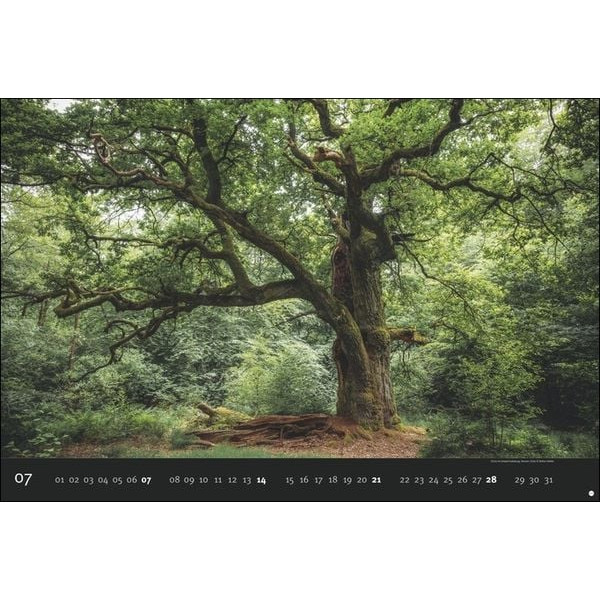 DEUTSCHLANDS NATURPARADIESE KALENDER 2024 - Kalender