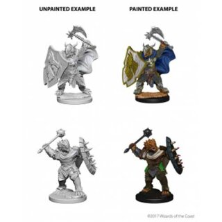 Dragonborn Male Paladin: Nolzurs Marvelous Unpainted Minis
