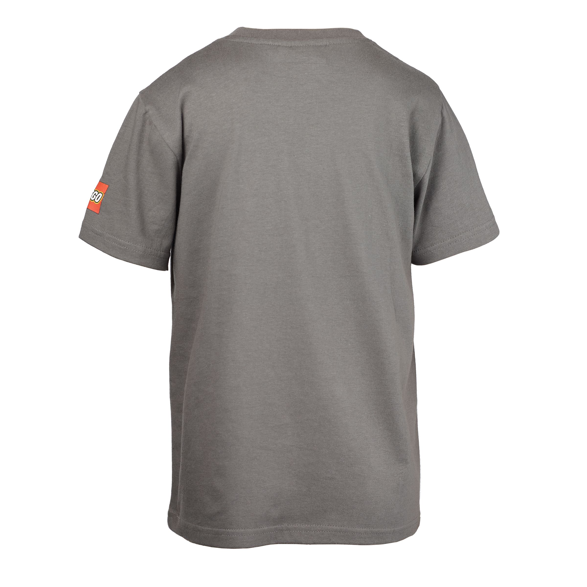 Harry Potter™ T-Shirt – Grau 5008033