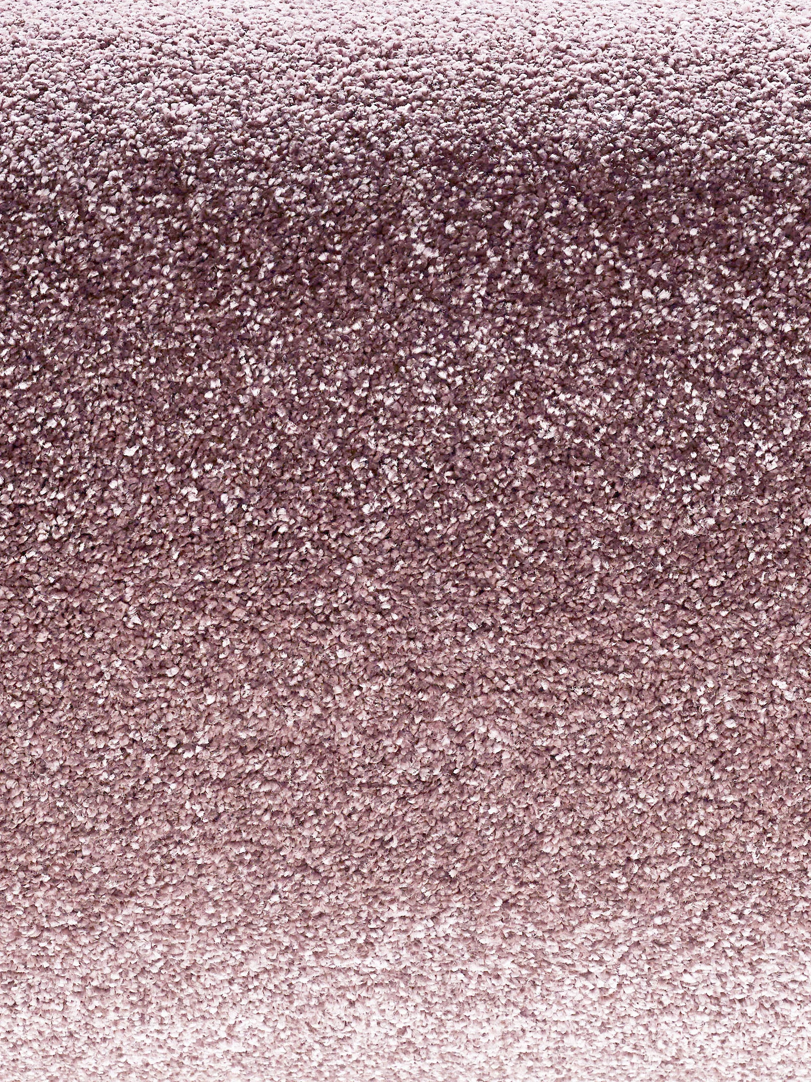 Sovereign Hochflor-Teppich, Mocca
