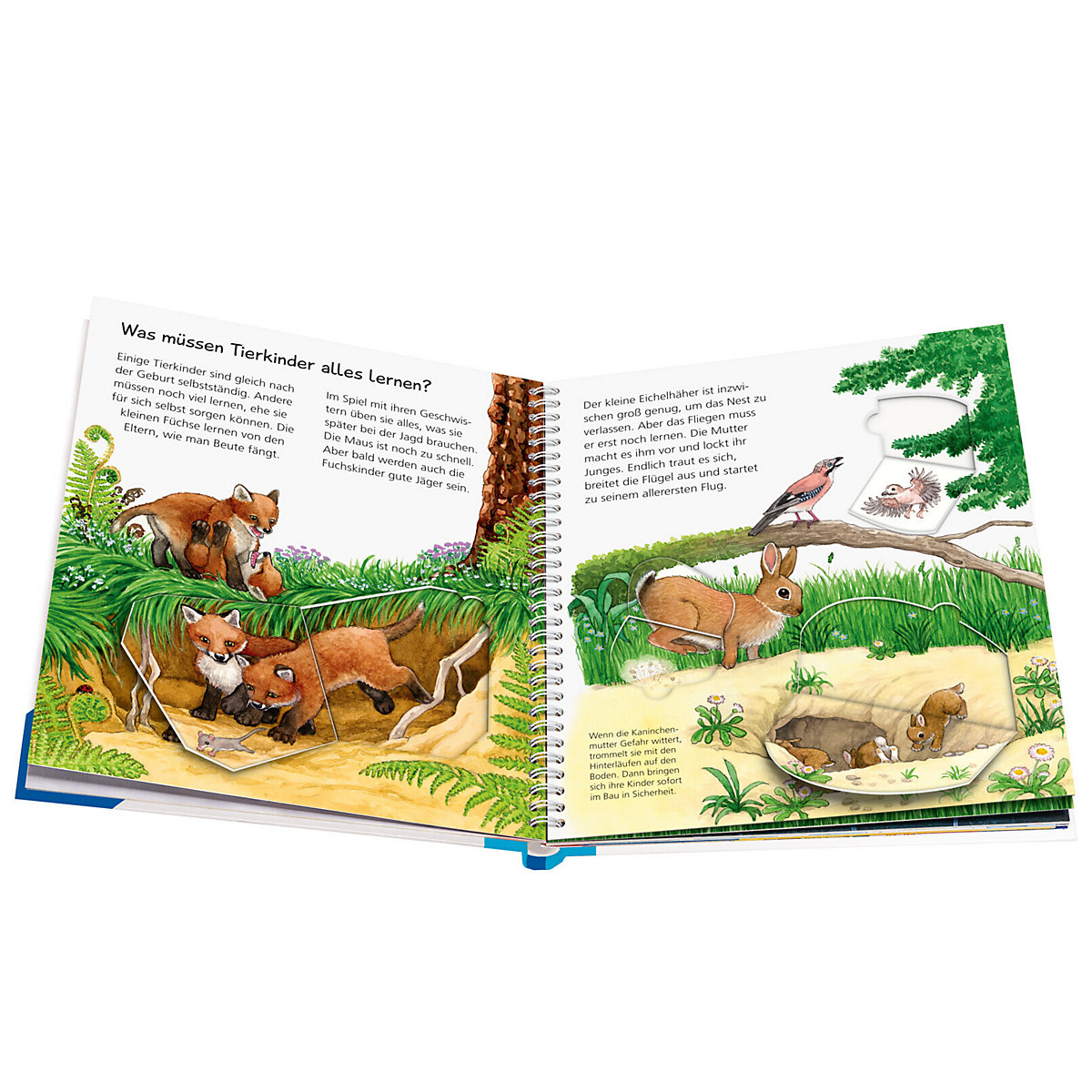 WWW junior Unsere Tierkinder