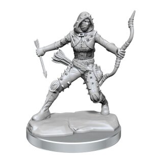 D&D Frameworks: Human Rogue Female