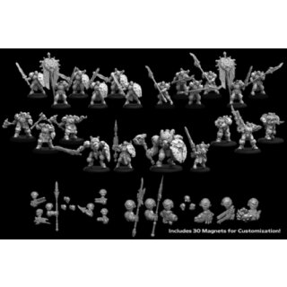 Cygnar Storm Legion Core Army Starter (EN)