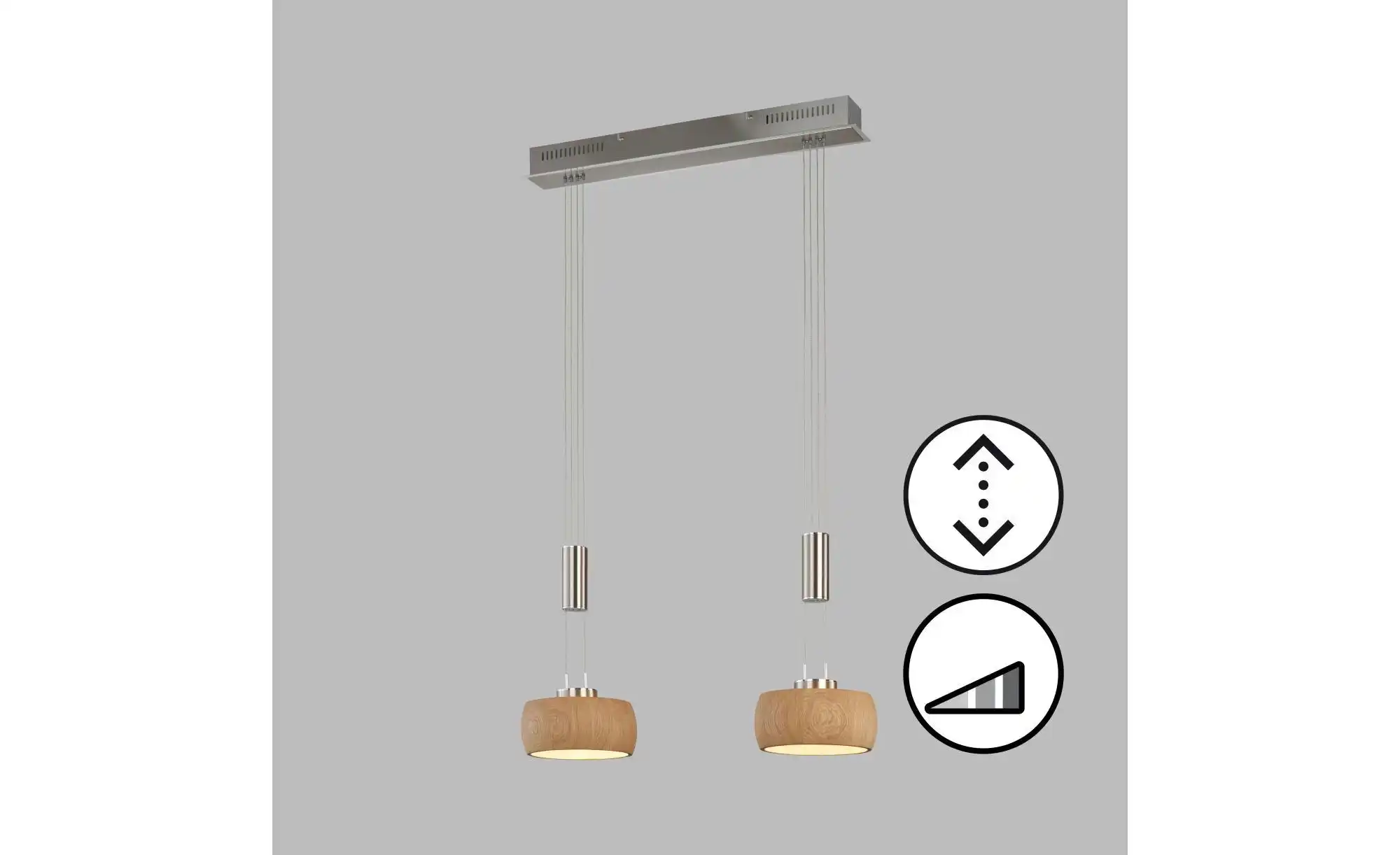 Fischer-Honsel Pendelleuchte