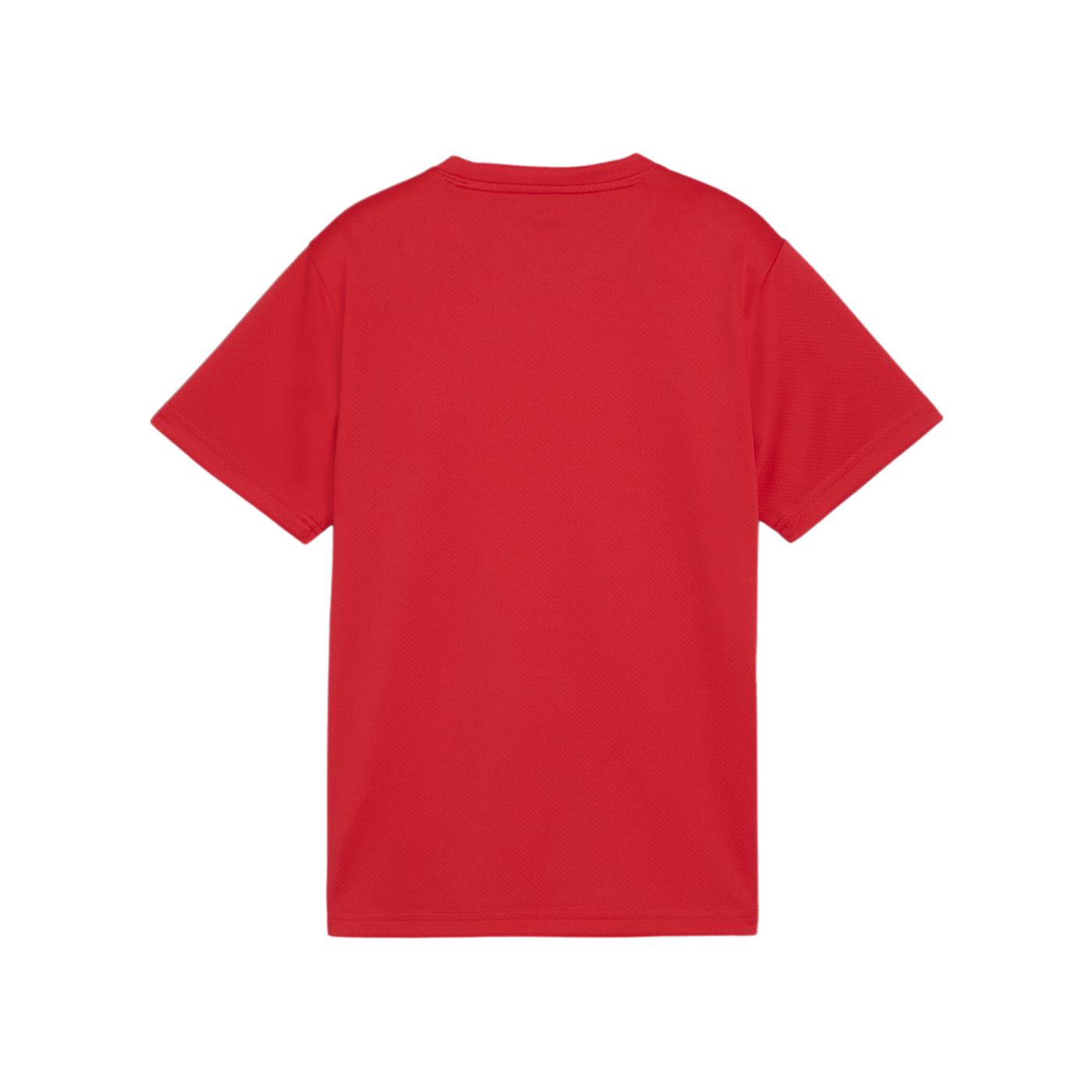 PUMA teamGOAL Trikot Kids Rot F01