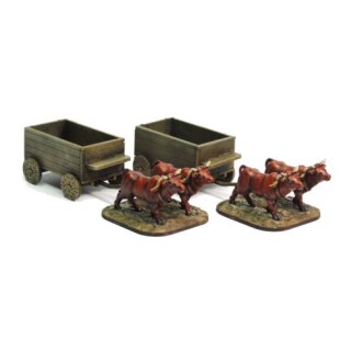 Cart Set