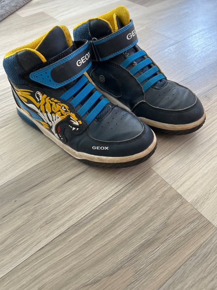 Geox Sneakers 