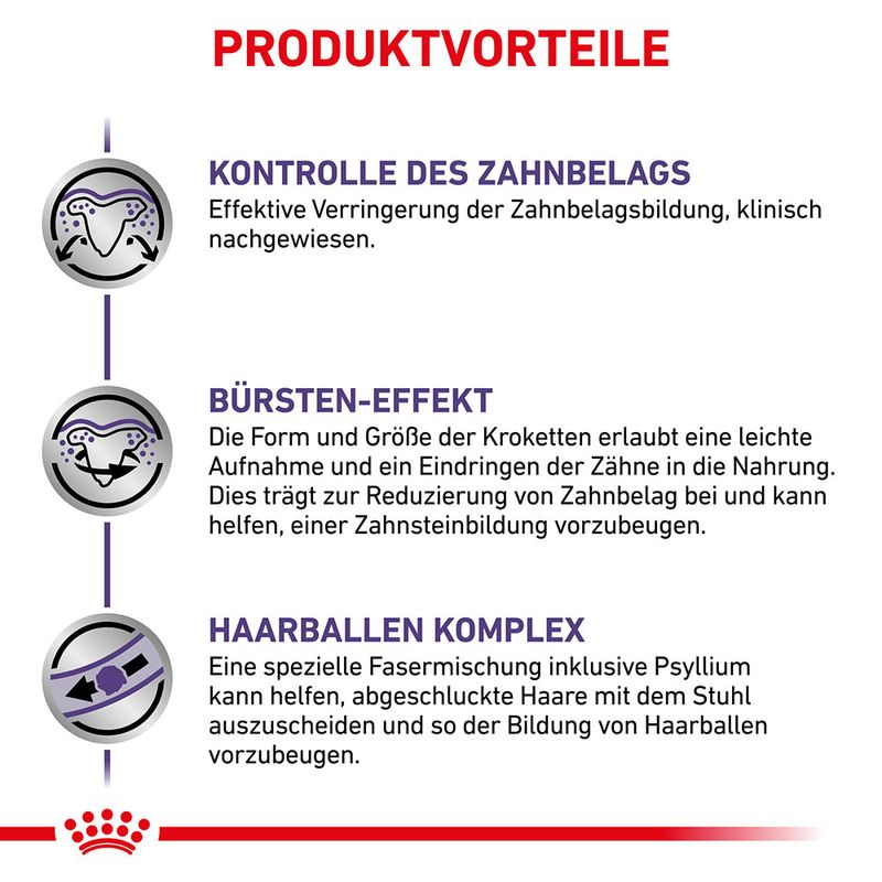 Royal Canin Expert Feline Dental zu TOP-Preisen