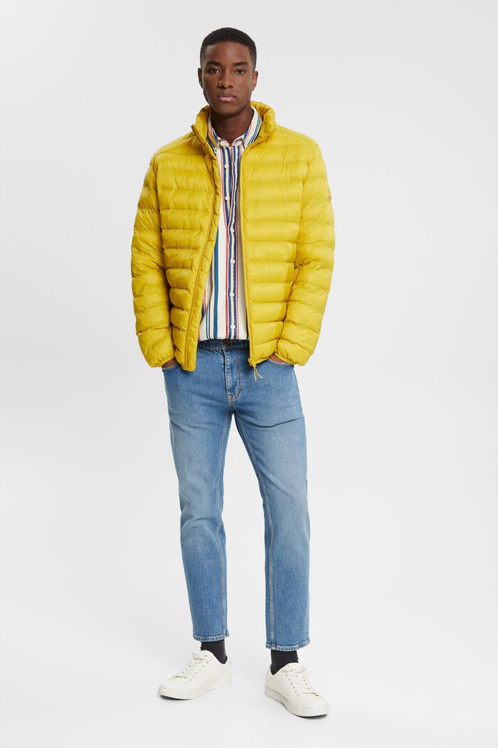 Button-Down-Hemd mit mehrfarbigen Streifen