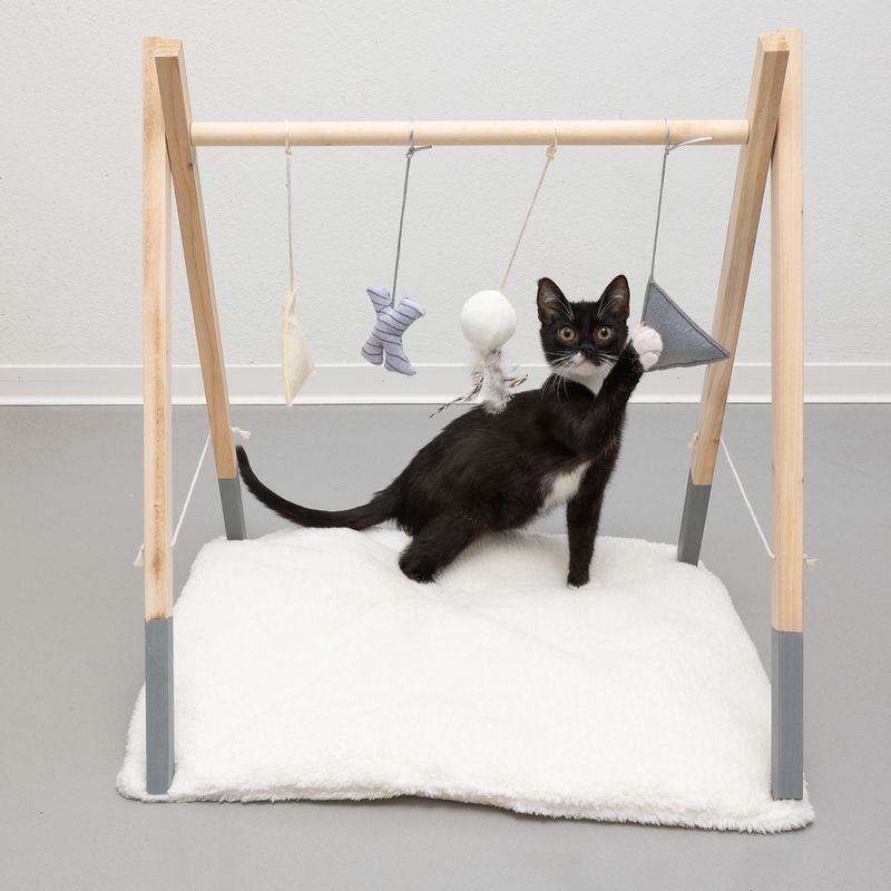 Modern Living Katzenspielplatz Stockholm zu TOP-Preisen | bitiba