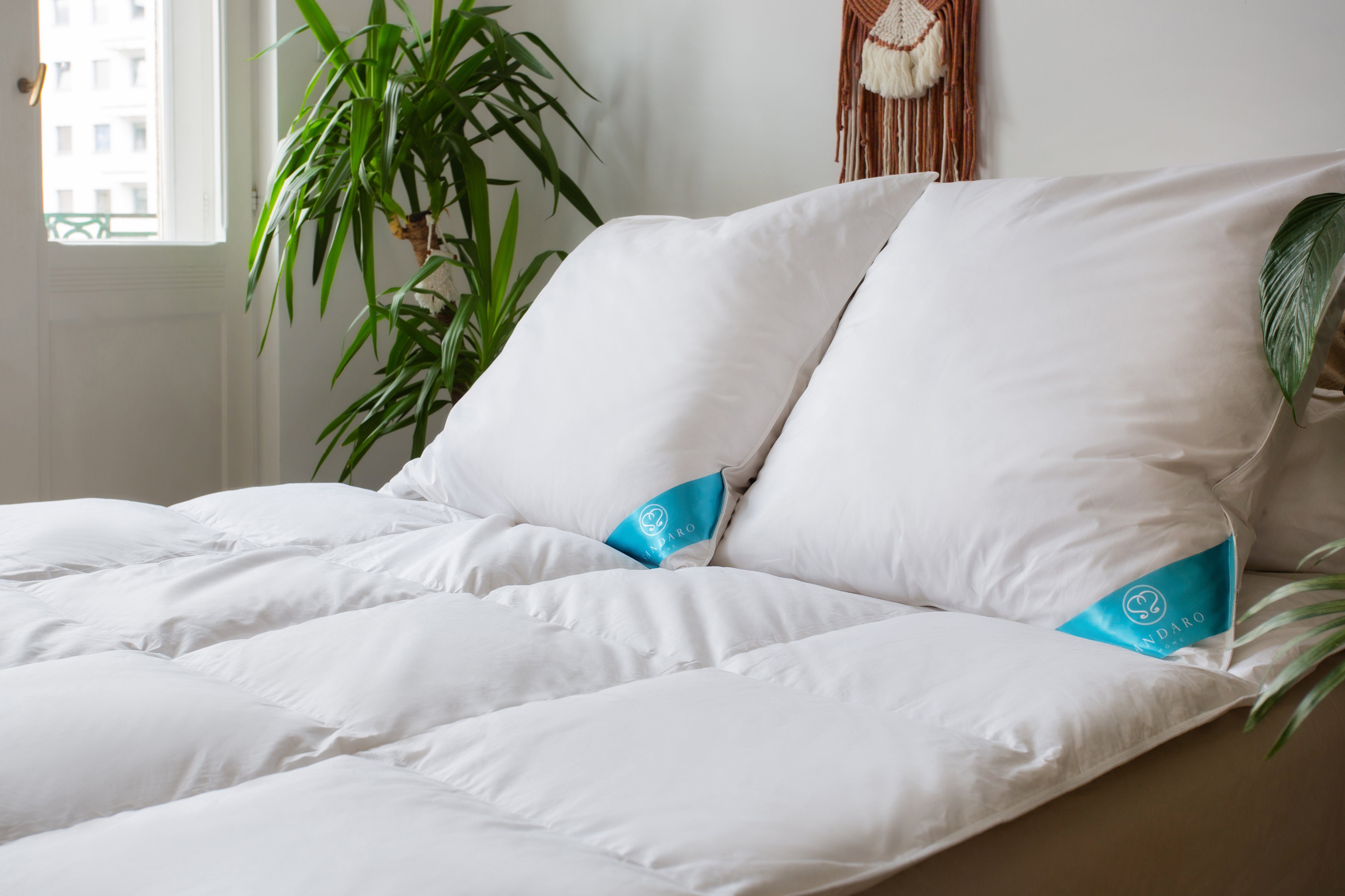 Daunenkissen Luxuriöses Kopfkissen mit Daunen & Federn, Sandaro Home, Füllung: 70% Daunen/ 30% Federn, Bezug: Baumwolle, Weiches Kissen für erholsamen Schlaf, 80 x 80 cm