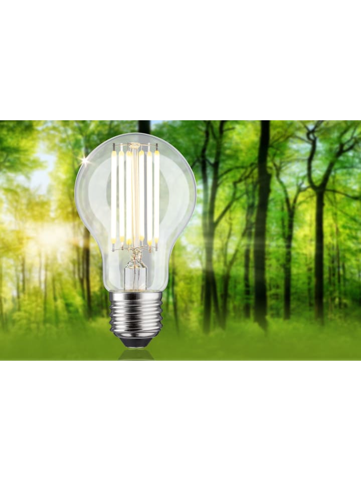 paulmann Eco-Line Filament 230V LED Birne 1er-Set A günstig kaufen onesize