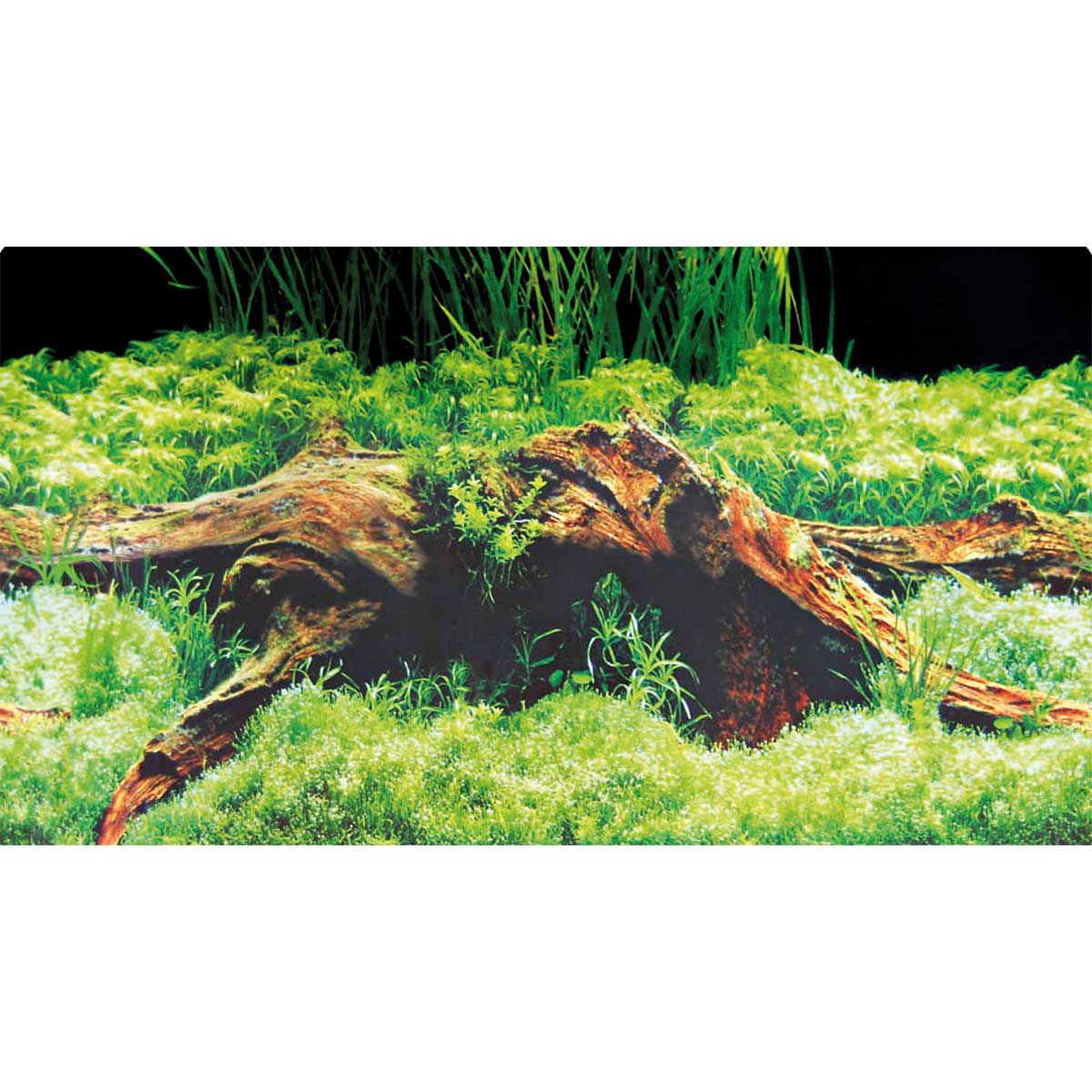 Hobby Aquarium Fotorückwand Spring / Moss kaufen