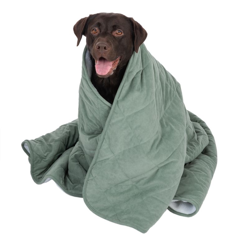Modern Living Hundedecke Victoria zu TOP-Preisen