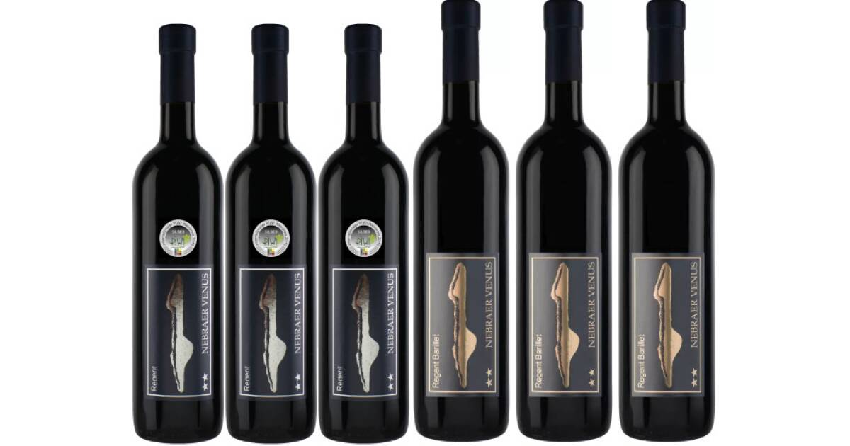 Everyday red wine von Weinhof Winter günstig bei wein.de kaufen