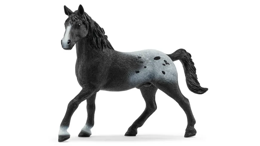 Schleich 72197 - Horse Club - Knapstrupper-Hengst