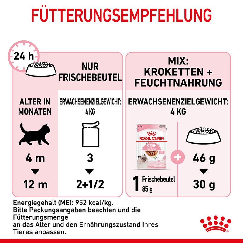 Royal Canin Kitten in Soße zu TOP-Preisen