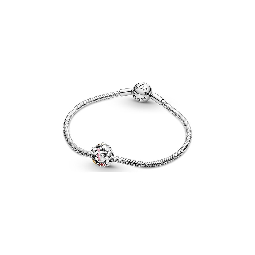 Pandora Charm Moments
