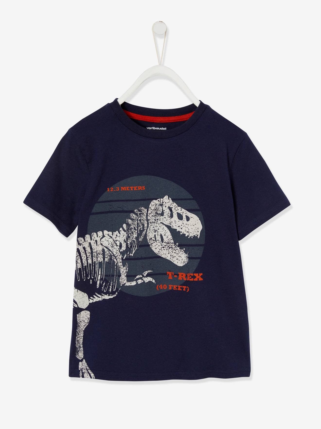 T-shirt motif dinosaure géant garçon menthe